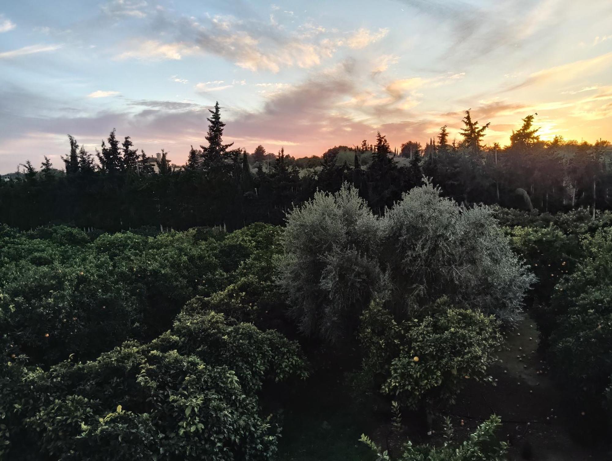 Son Pujol Villa Las Ollerias ภายนอก รูปภาพ
